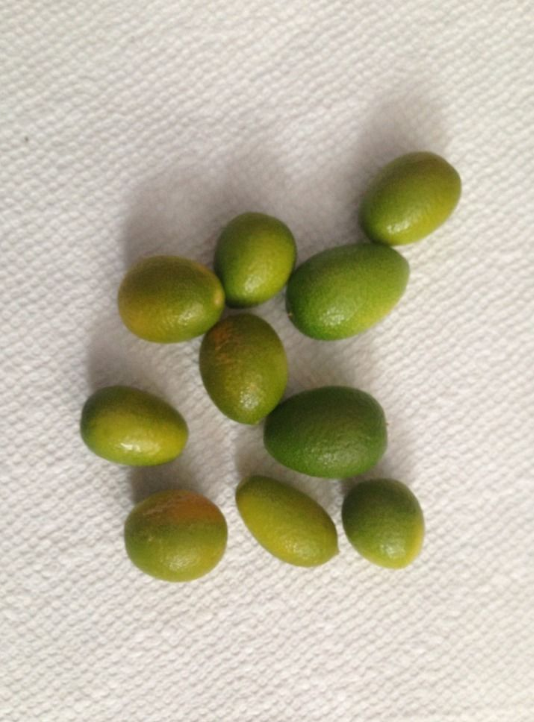 Thumbnail: kumquat fruit (10 pieces) (FROZEN)