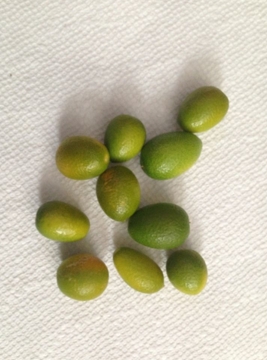 Thumbnail: kumquat fruit (10 pieces) (FROZEN)