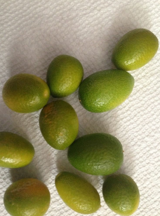 Thumbnail: kumquat fruit (10 pieces) (FROZEN)