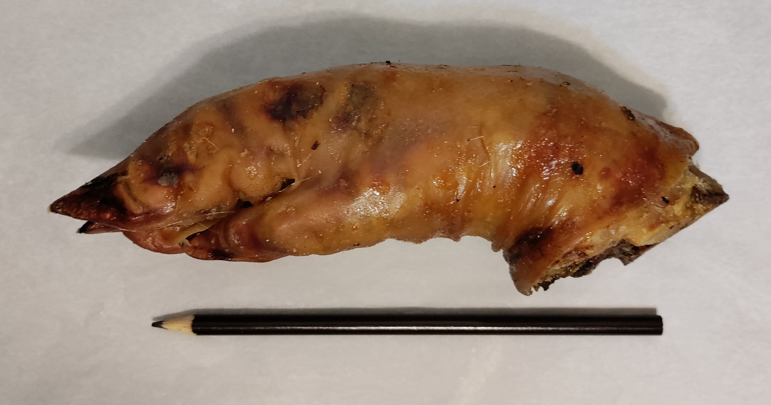 Hog feet Chews (2 Feet) Medium Sized Dog Treats