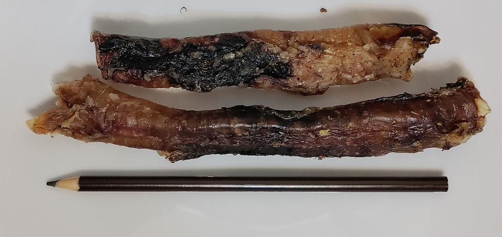 BeyondWhiskers Hog, pig Trachea Chews Dog treats (50 Tracheas)