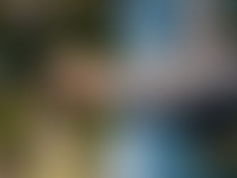 熊本の暴行事件を考える