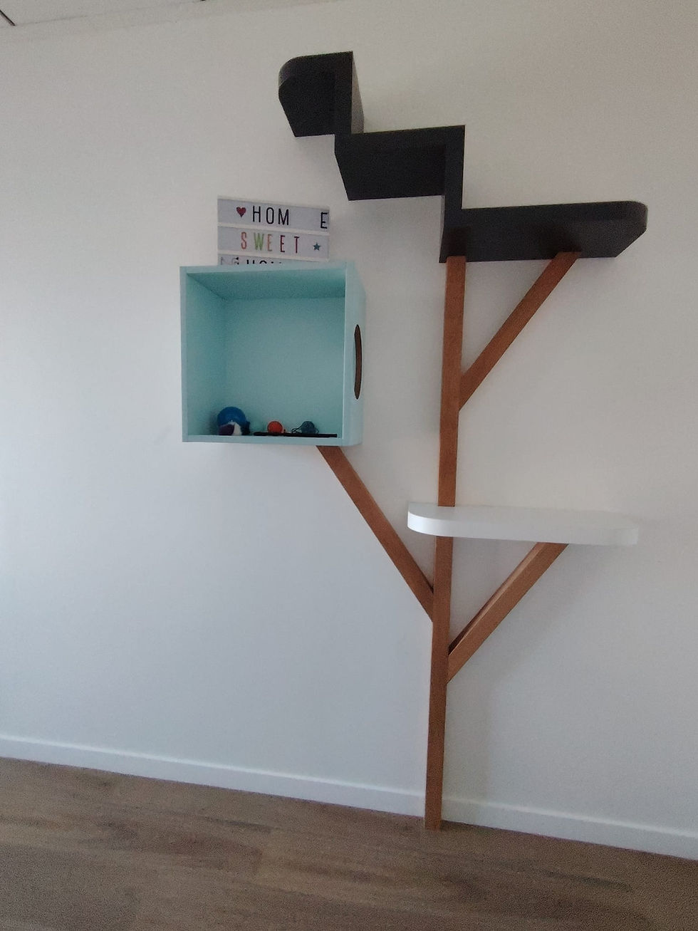 agencement vétérinaire nantes