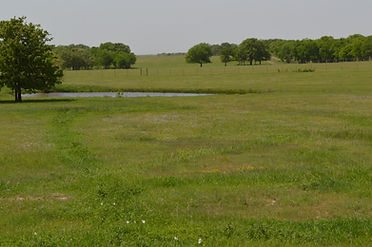 DSC_0923.JPG
