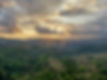 sunset florestral. 3.jpeg