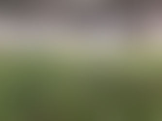 Polícia descobre fazenda com 28 mil pés de maconha em Jacareí, SP