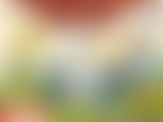 Já pensou em ver os pontos turísticos de Guaratinguetá em versões para colorir?