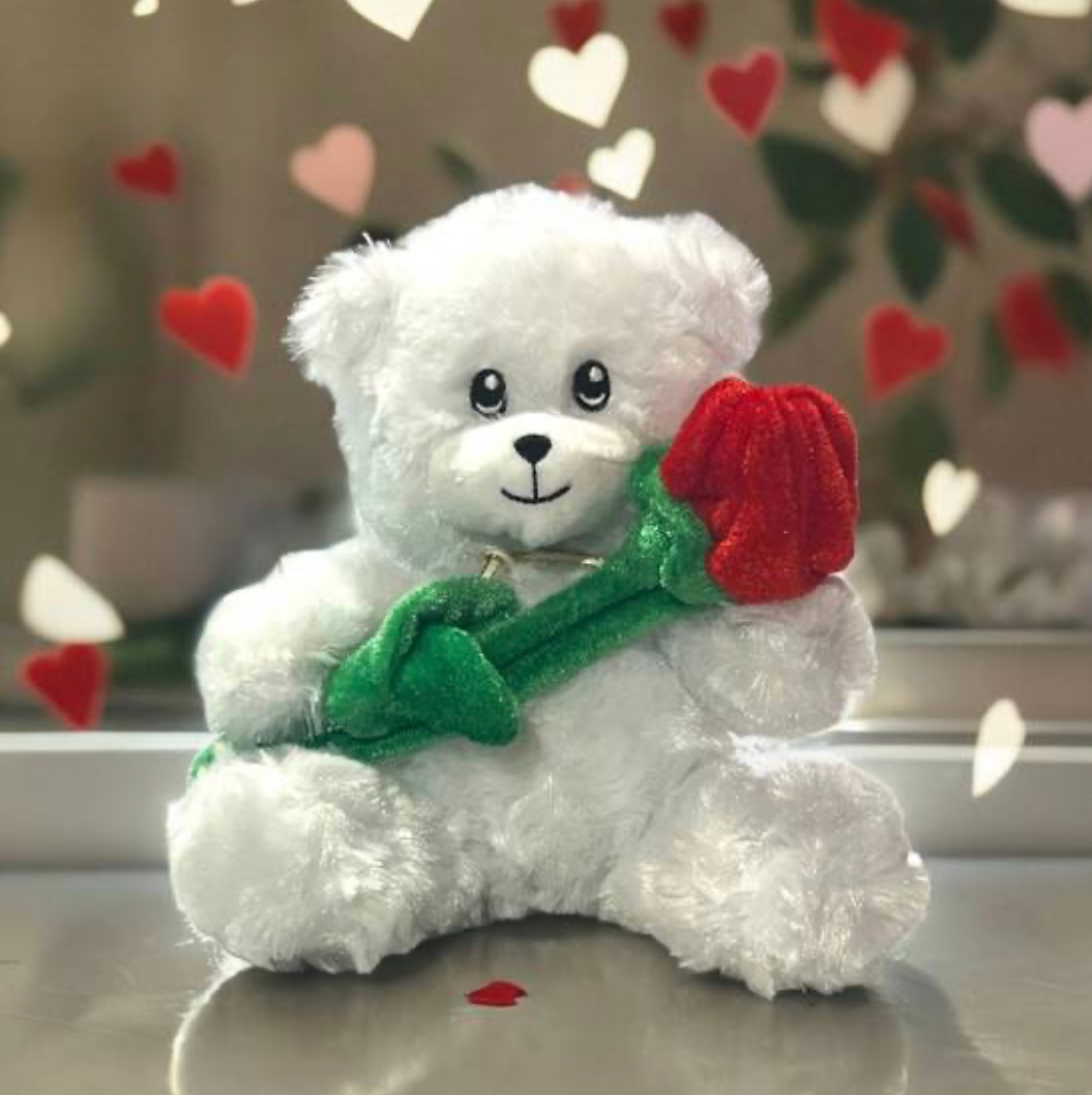 Rosed Teddy Bear