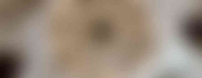 nasrid palace alhambra granada spain ceiling