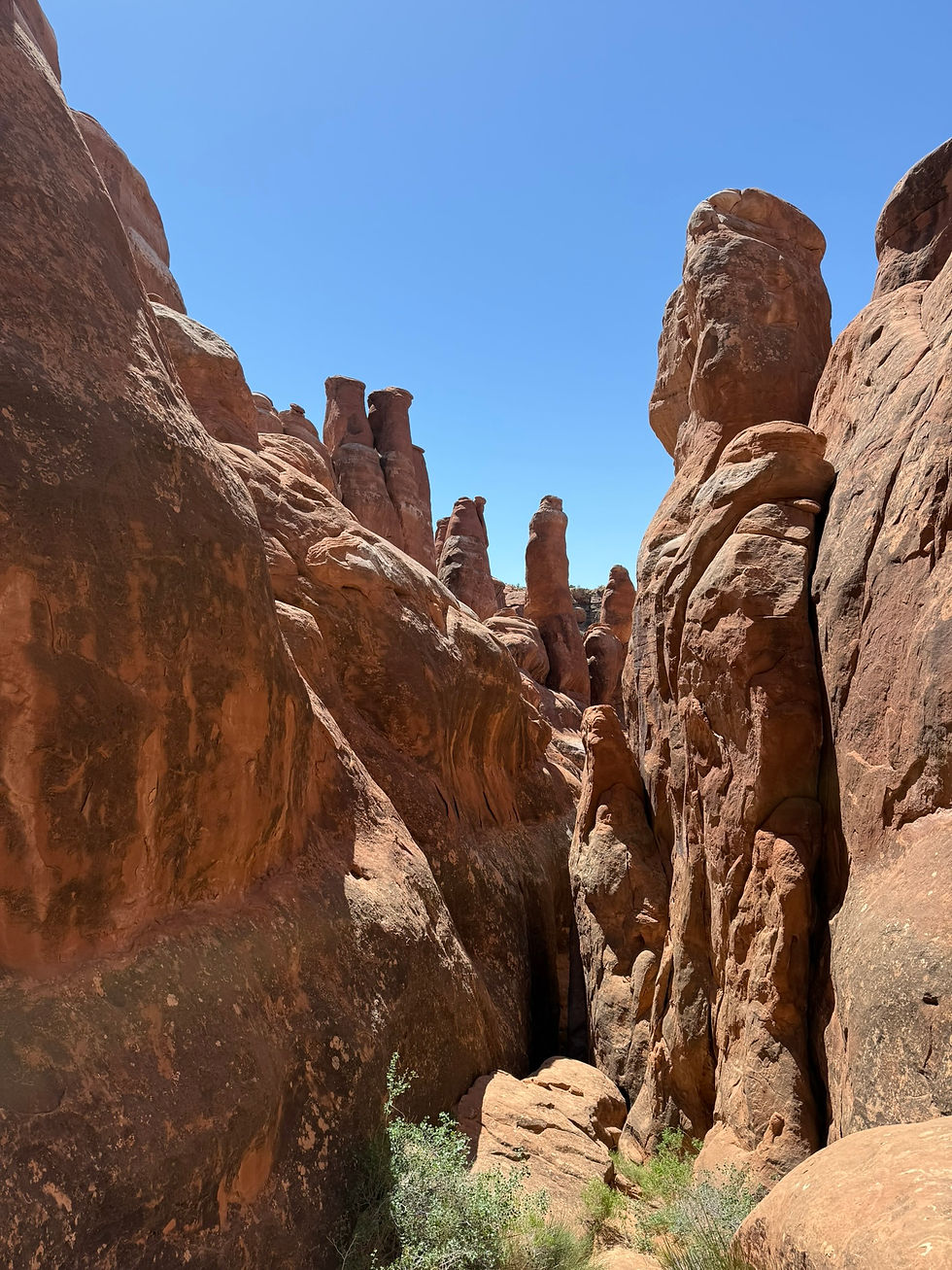 View on the Fiery Furnace Trail in Arches National Park