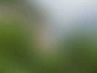 Santuario Madonna della Corona dolomite church italy