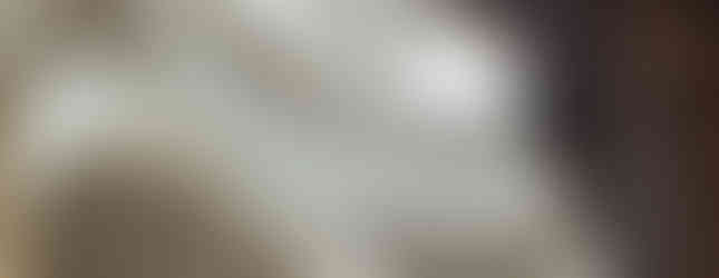 granada cathedral ceiling view spain