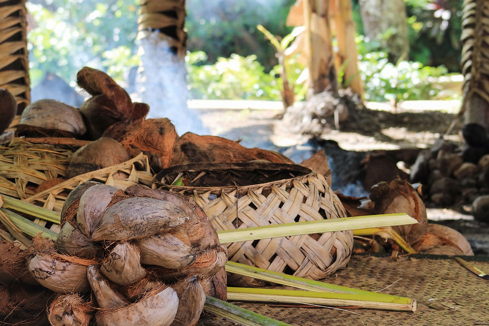 samoa 3 dreamstime_xxl_96294211.jpg