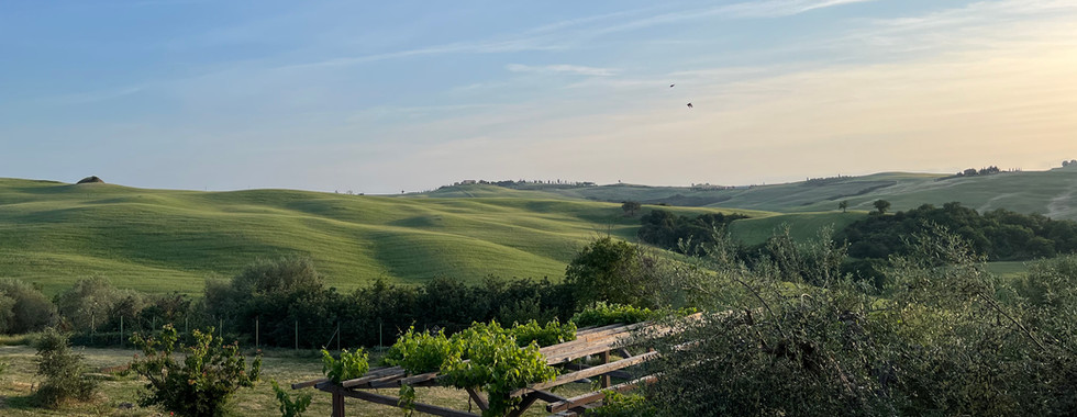 view from agriturismo dinner in pienza
