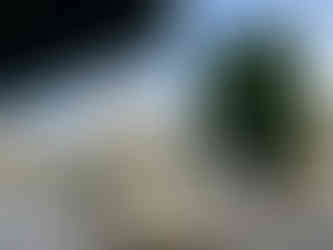 seville spain plaza view