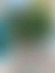 marbella old town street spain