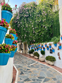 marbella old town street spain