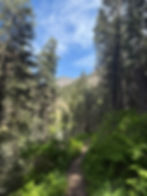 View from a stop on Big Cottonwood Canyon drive outside Salt Lake City