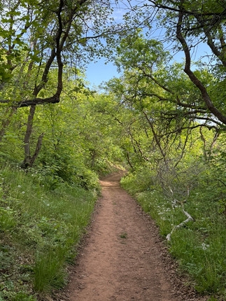 A natural trail at Red Butte Garden and Aboretum in Salt Lake City