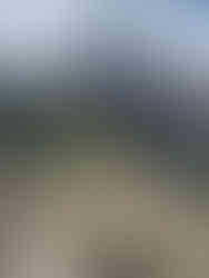 View of Machu Picchu from Waynapicchu