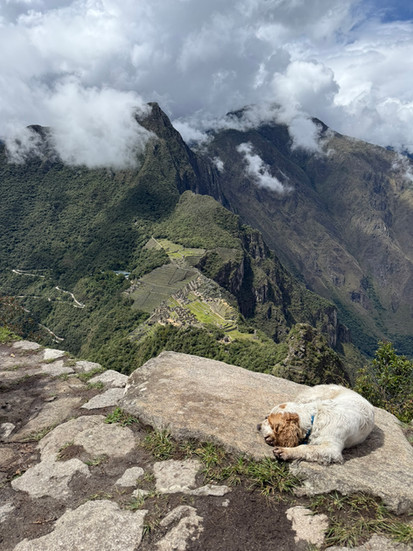 View of Machu Picchu from Waynapicchu