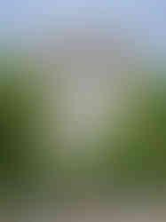 seville spain cathedral