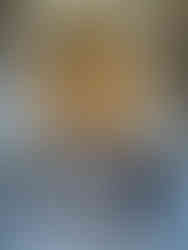 vatican museum rome italy