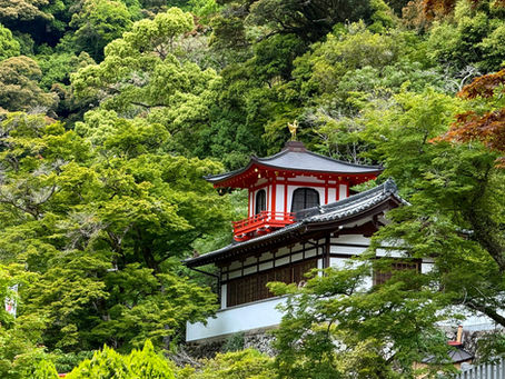 15-Day Itinerary for Exploring Japan