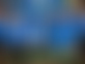 2024 Annual Banquet: Celebrating the Heroes of Texas Tennis