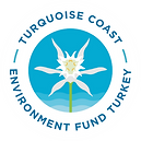 turquoise fund renkli_1.png