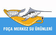 foca-merkez-su-urunleri.jpg