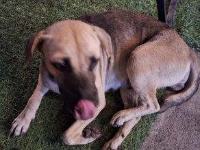 es besteht Handlunsgbedarf