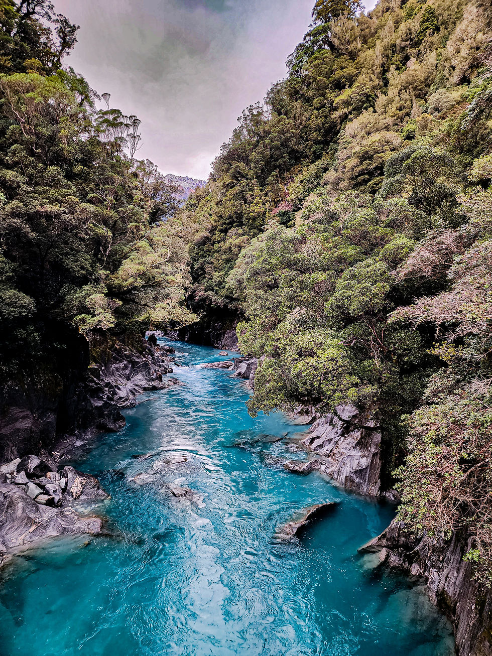 Whataroa Gorge Swing Bridge West Coast NZ
