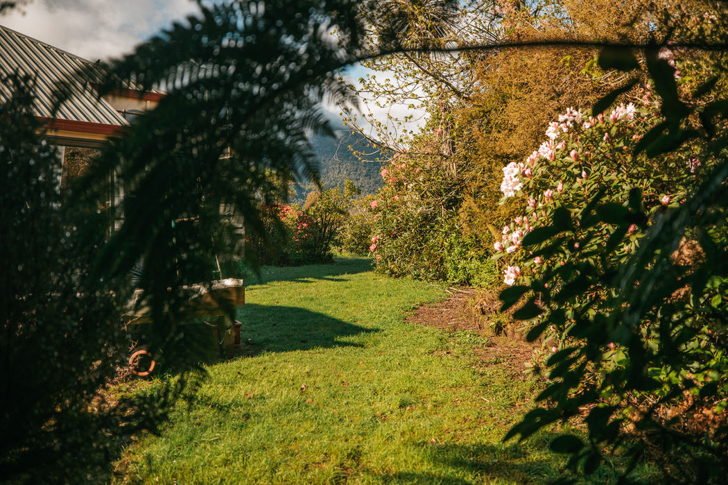 The External Gardens Of Ropatinis Bed And Breakfast Fox Glacier