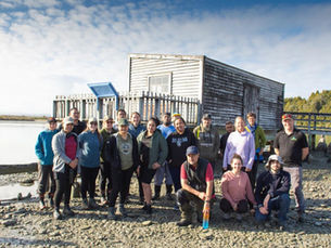 Thriving Volunteer Day at Okarito!
