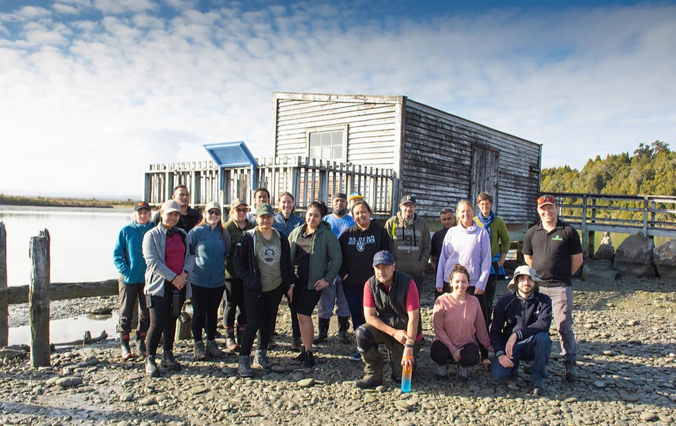 Group Of Conservation Volunteers Posing For Photo At Okarito New Zealand