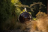 Wood-Fired-Outdoor-Barrel-Sauna.jpg