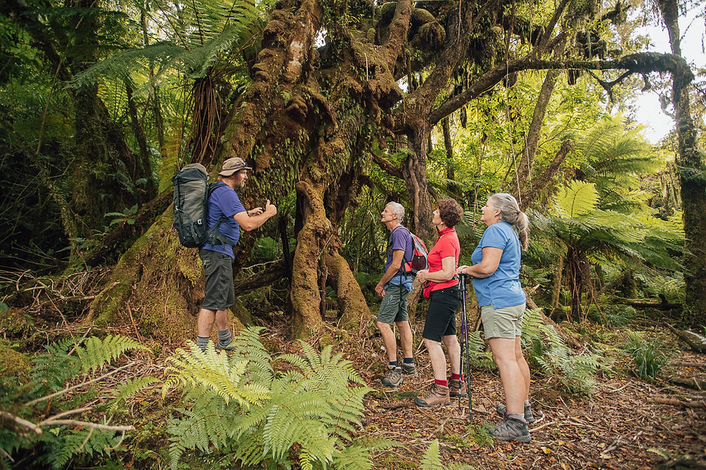 Glacier Country And New Zealand Eco Tourism Glacier Country And New Zealand Eco Tourism