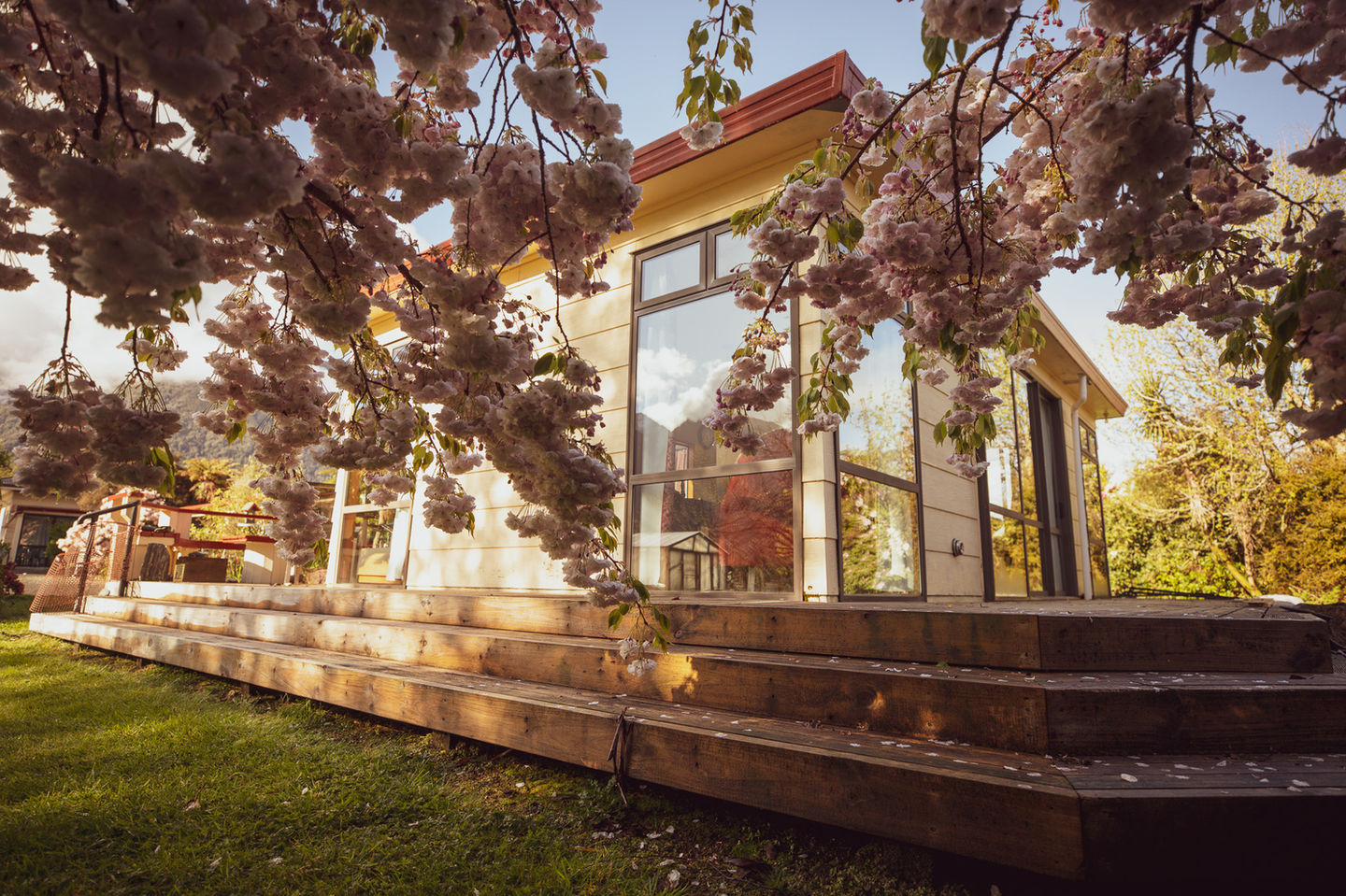 Ropatinis Bed And Breakfast Fox Glacier House With Blossom Tree