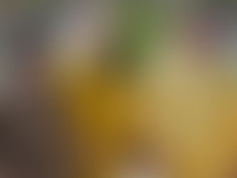 Un Britannique condamné à 15 ans de prison en Irak pour vol d'antiquités