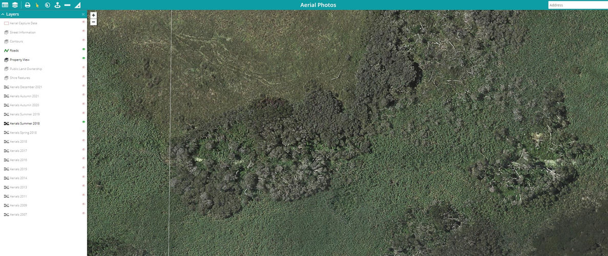 Glyceria Maxima Pre Control 2018.