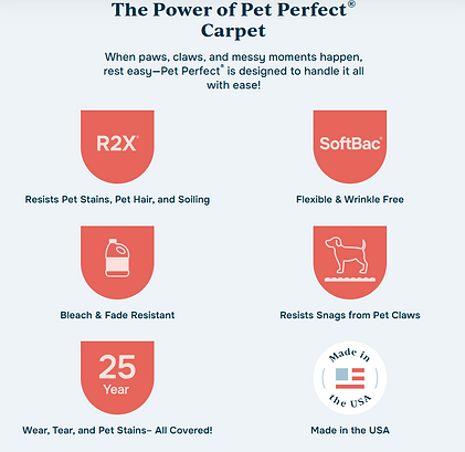 Pet perfect.png