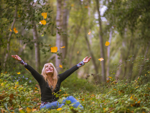 Boost Your Hormone Health Naturally: 5 Effective Herbs to Try