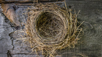 Top 21 Empty Nest Things To Do