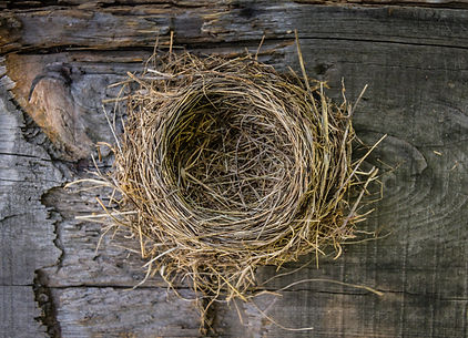 emptynest.jpg