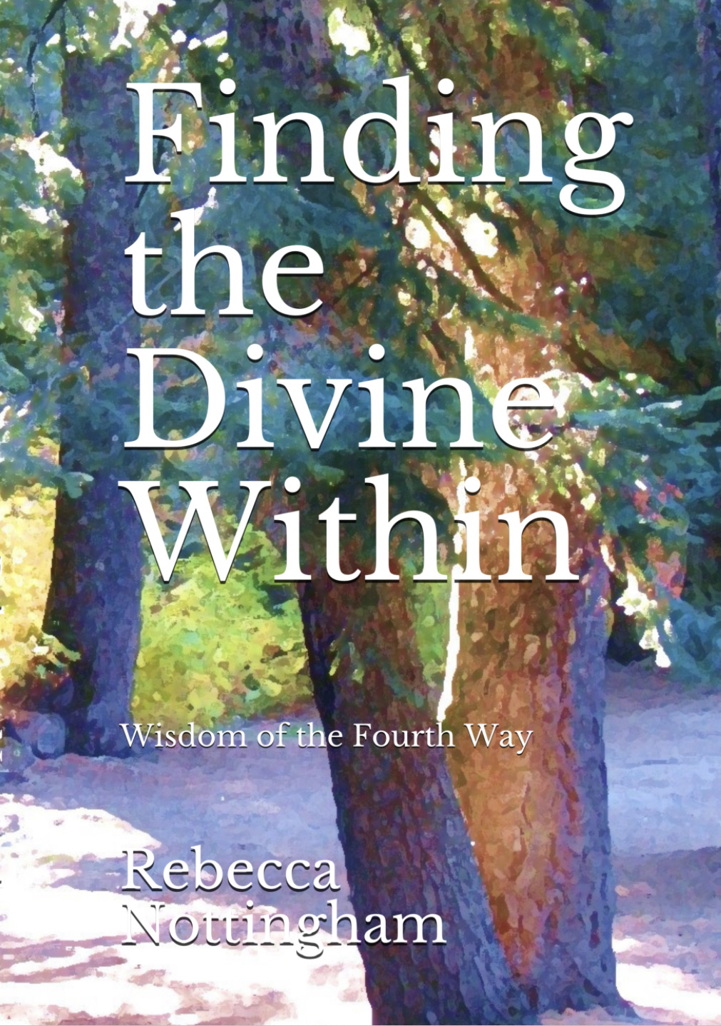 Finding the Divine Within book cover