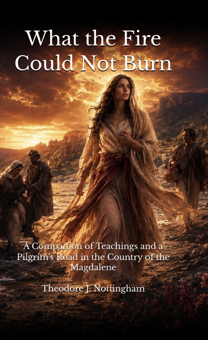 What the Fire Could Not Burn book cover