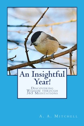 An Insightful Year! book cover