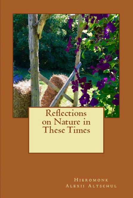 Reflections on Nature in These Times book cover
