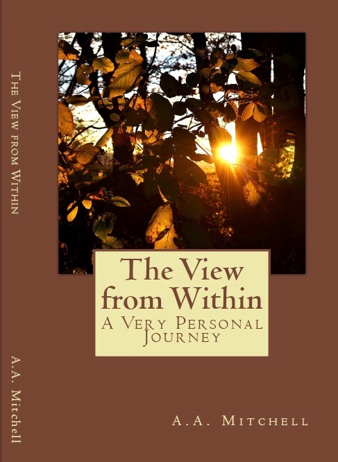 The View from Within book cover